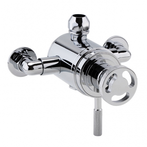 Chrome Industrial Style Exposed Dual Shower Valve